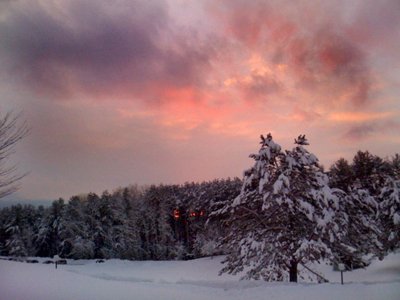 Image Concealment Films - MH Studios